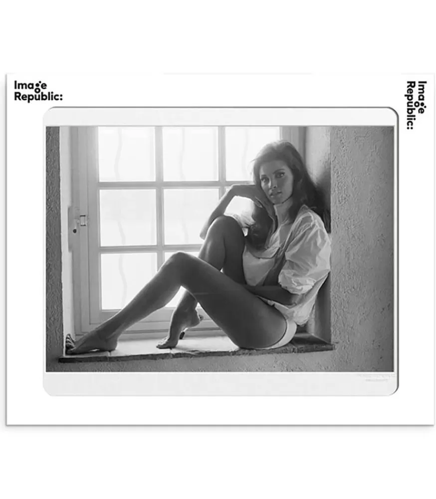Image Republic Affiche La Galerie Raquel Welch 1 38 X 56 Cm