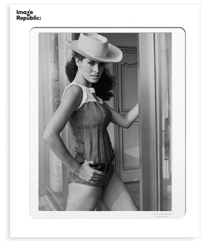 Image Republic Affiche La Galerie Raquel Welch 2 38 X 56 Cm