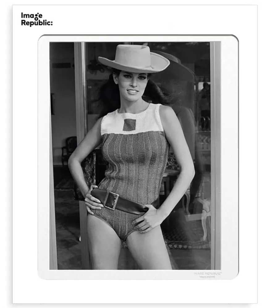 Image Republic Affiche La Galerie Raquel Welch 3 38 X 56 Cm
