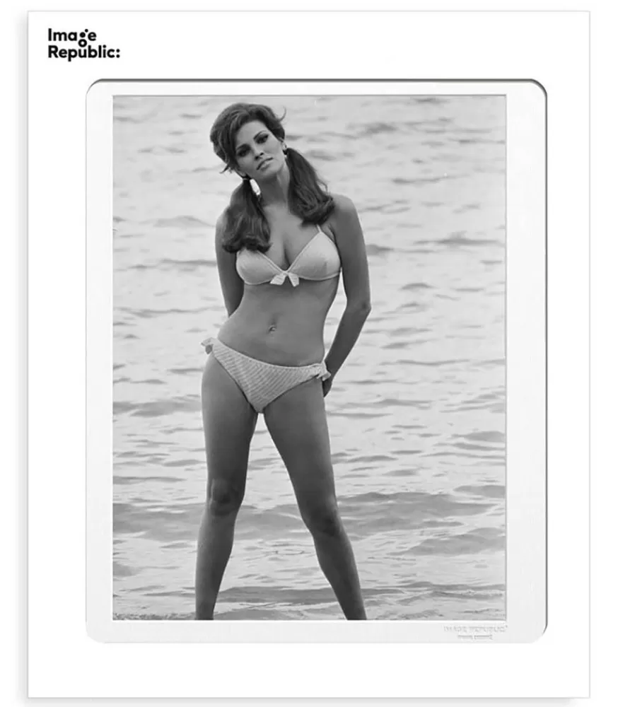 Image Republic Affiche La Galerie Raquel Welch 4 38 X 56 Cm