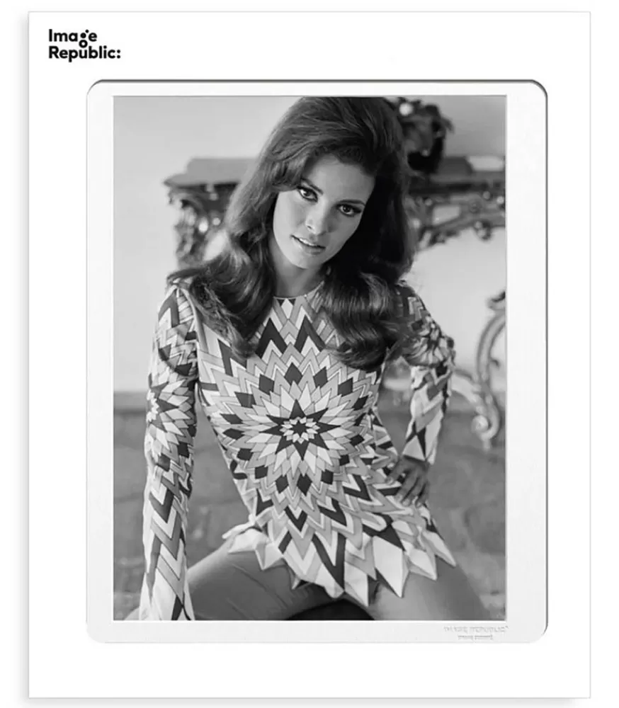 Image Republic Affiche La Galerie Raquel Welch 5 38 X 56 Cm