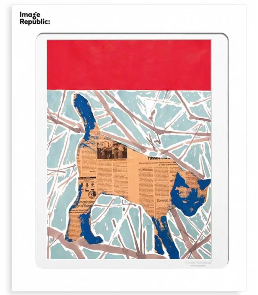 Image Republic Affiche Marc Antoine Coulon Animaux Chat 40 X 50 Cm