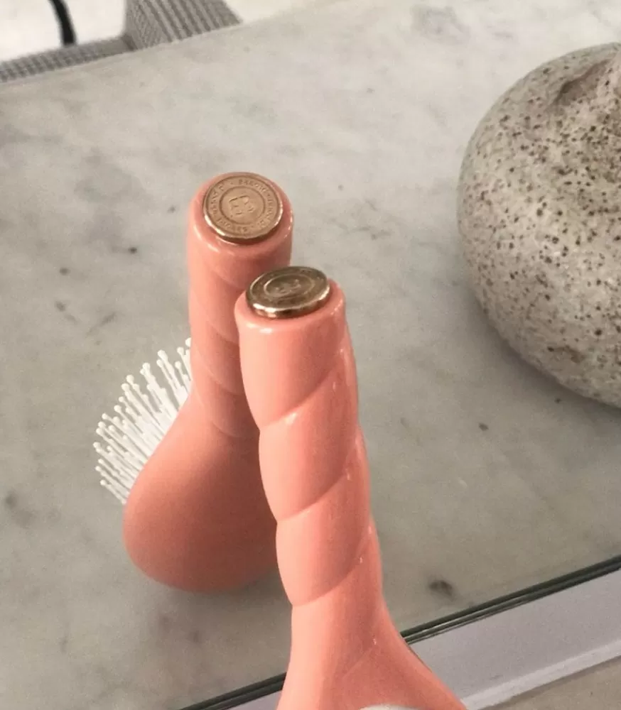 Femme La Bonne Brosse Brosse N.04 La Miracle Demelante & Massante Corail