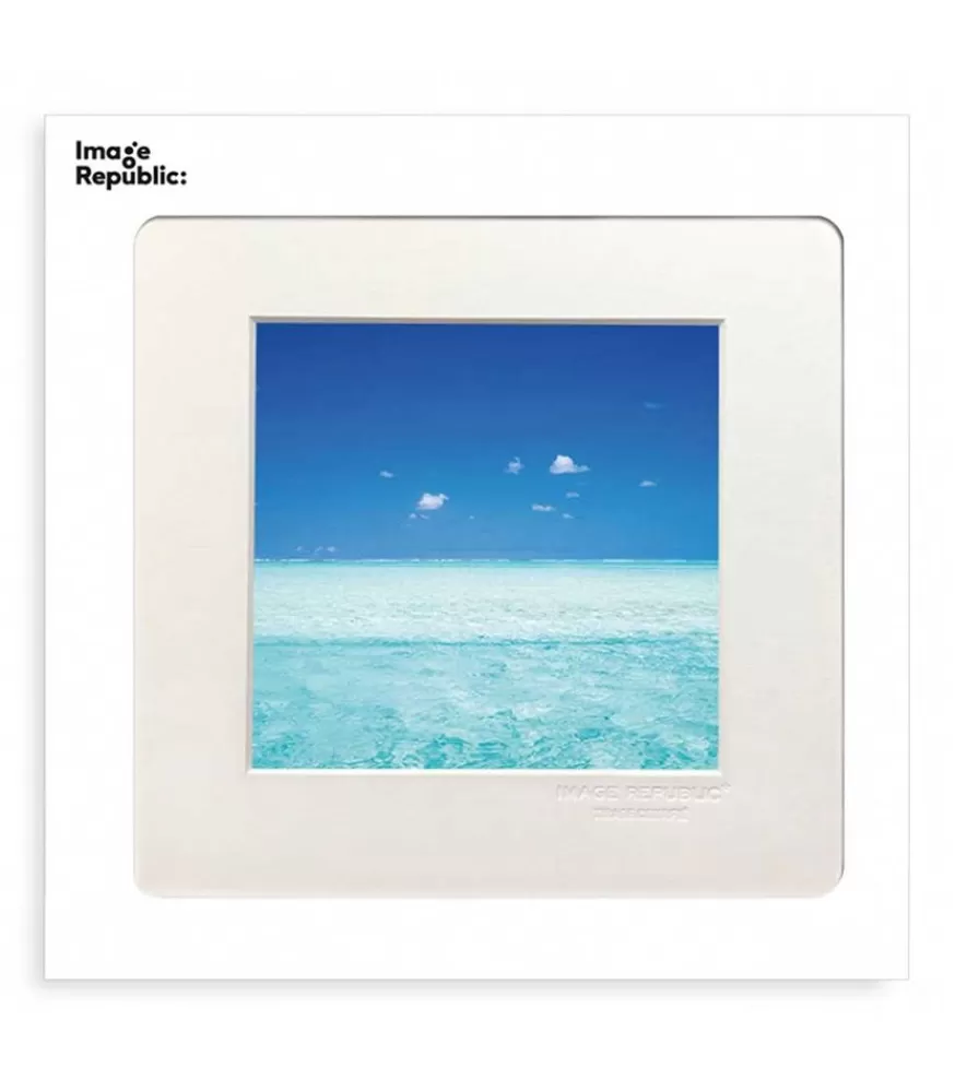 Image Republic L'Iconolatre 0281 22 X 22